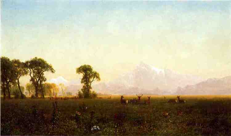 Albert Oil Painting Deer Grazing, Grand Tetons, Wyoming